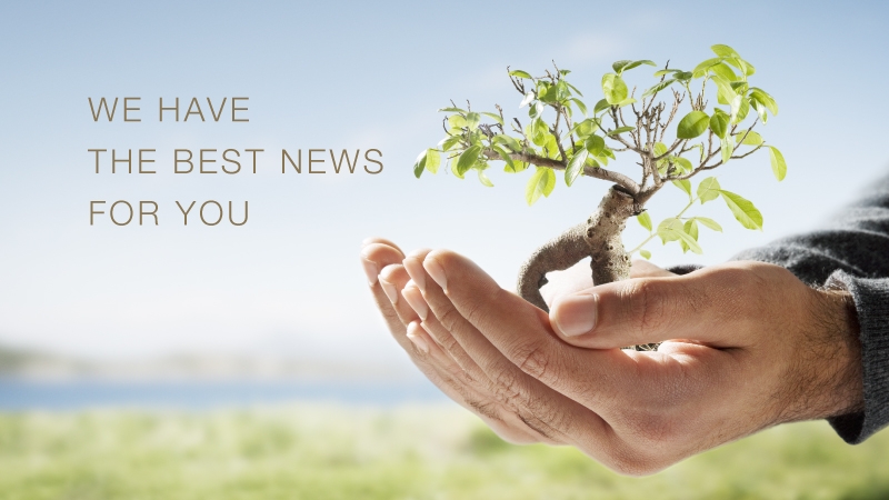 news01
